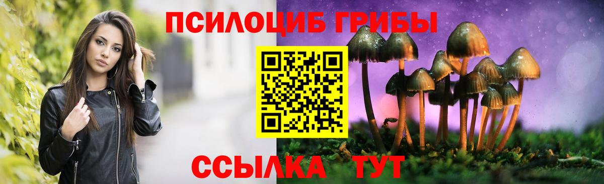 Псилоцибиновые грибы Magic Shrooms Советский