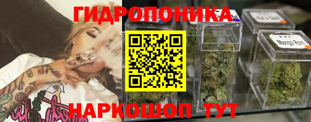 Конопля OG Kush Советский